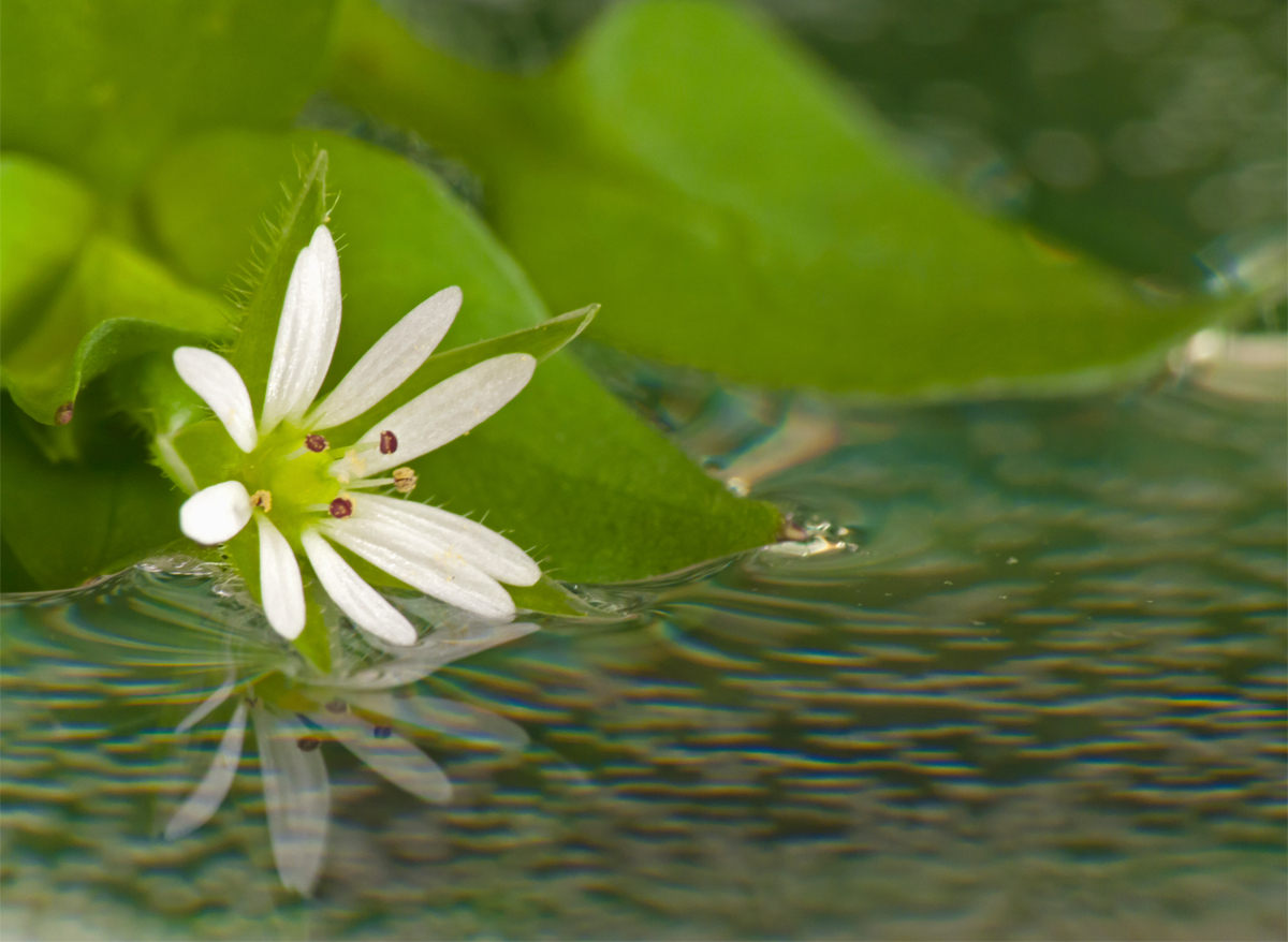 Deep Relaxation Meditation